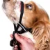 Halti® OptiFit Training Dog Head Collar image thumbnail 3