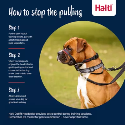 Halti® OptiFit Training Dog Head Collar - Image 5