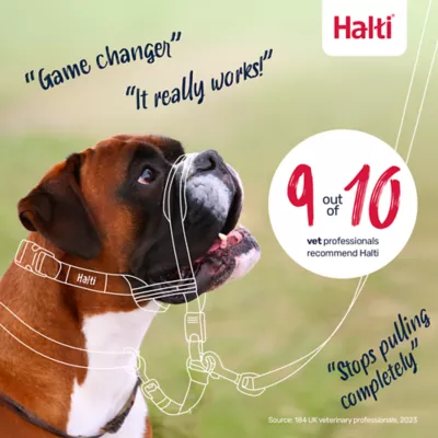 Halti® OptiFit Training Dog Head Collar - Image 7