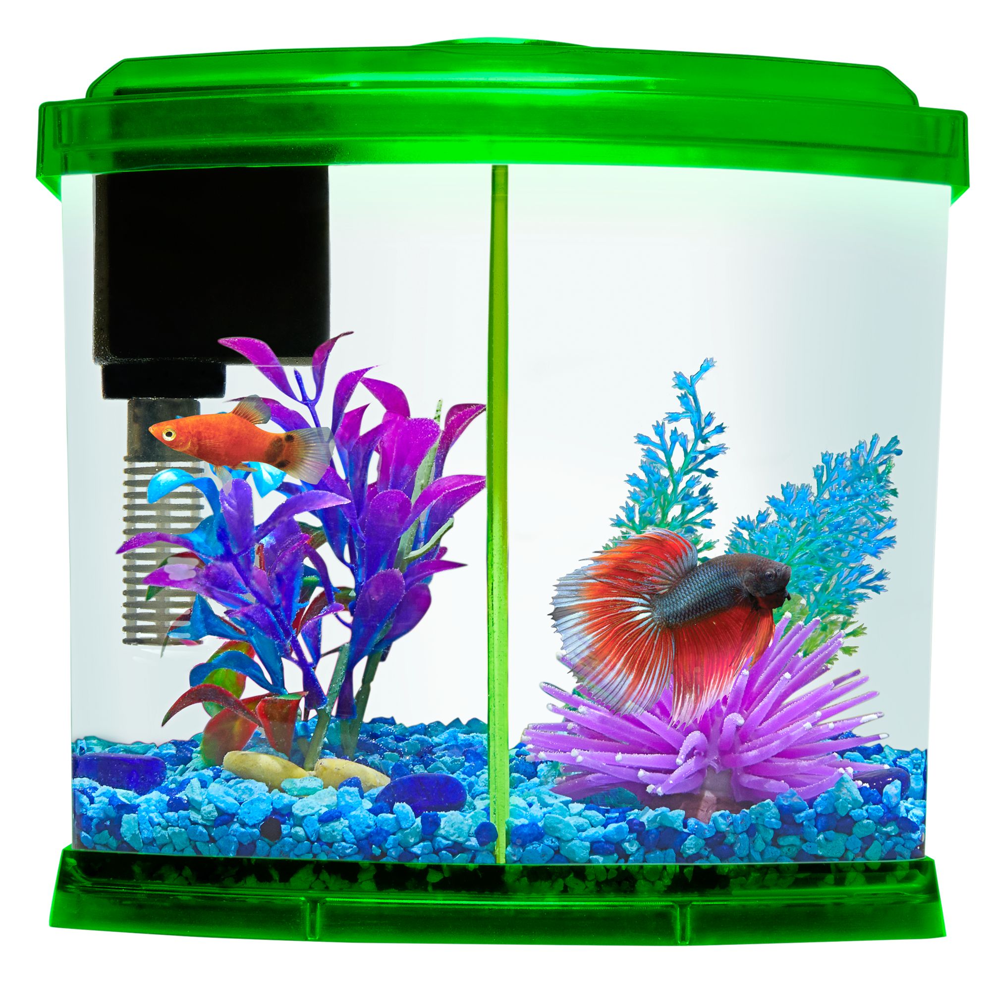 fish tank separator petco