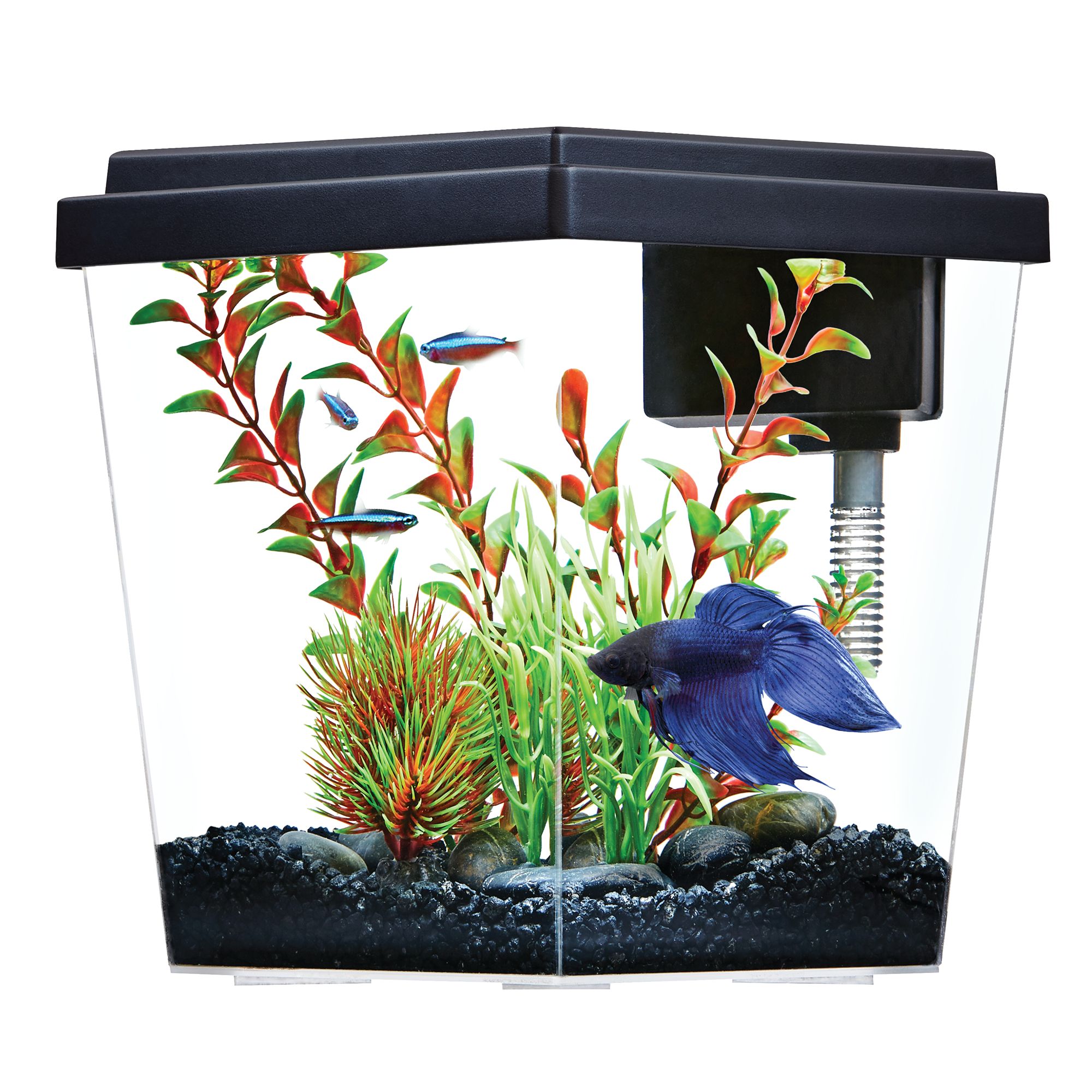 Petsmart 2025 large aquariums