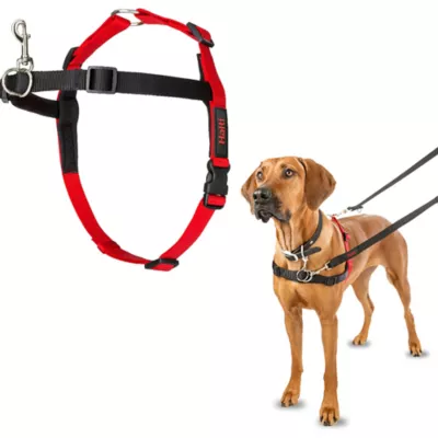 Halti® Training Dog Harness - Image 2