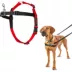 Halti® Training Dog Harness image thumbnail 2