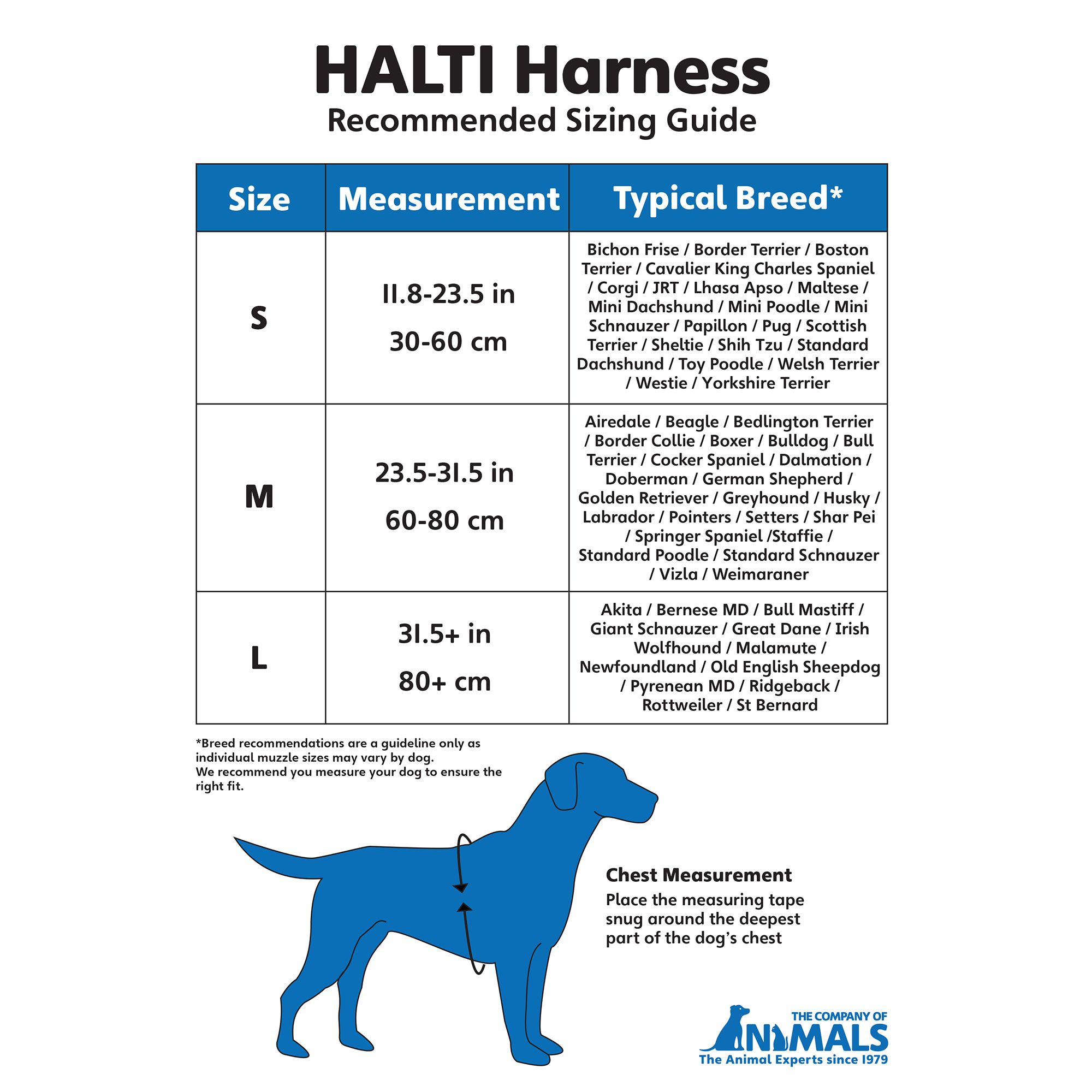 halti training harness