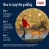 Halti® Training Dog Harness image thumbnail 5