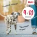 Halti® Training Dog Harness image thumbnail 7