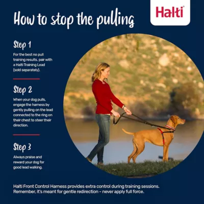 Halti® Training Dog Harness - Image 5