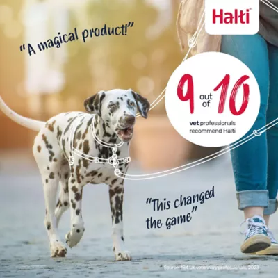 Halti® Training Dog Harness - Image 7