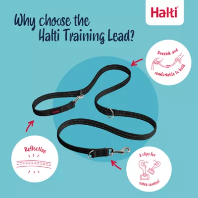 Halti® Training Dog Leash - Image 4