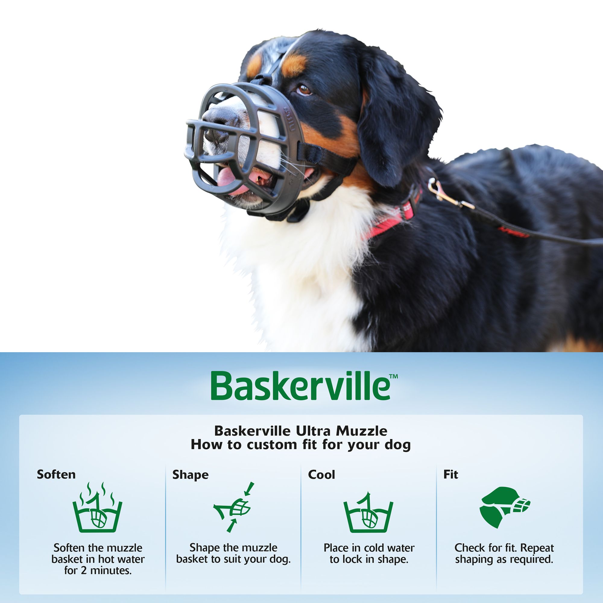 basket muzzle petsmart