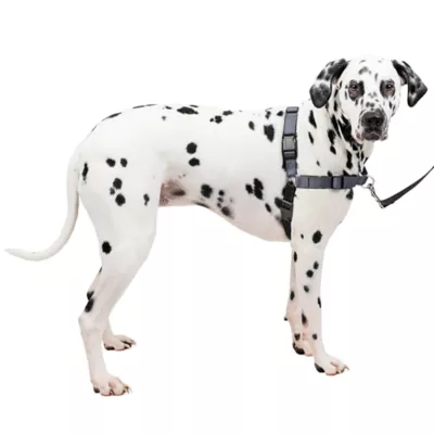 Product PetSafe® Easy Walk Deluxe Dog Harness - No Pull Dog Harness - Steel