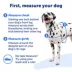 PetSafe® Easy Walk Deluxe Dog Harness - No Pull Dog Harness image thumbnail 4