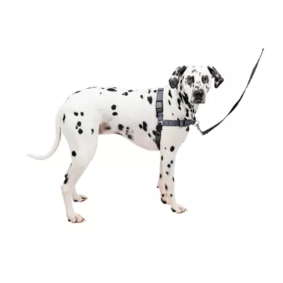 Product PetSafe® Easy Walk Deluxe Dog Harness - No Pull Dog Harness - Steel