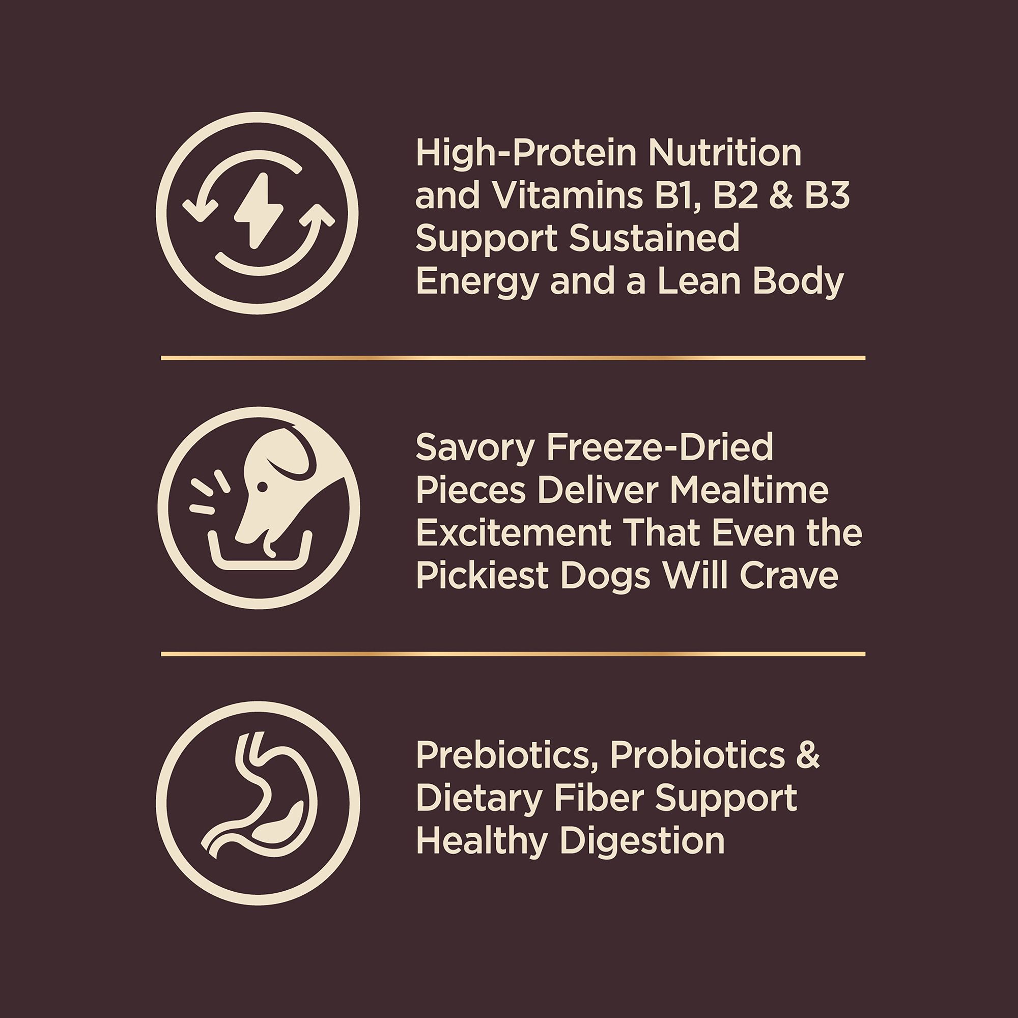 Wellness core rawrev natural grain free dry dog food sales