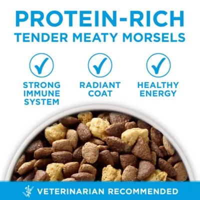 Purina one beef and rice small bites hotsell