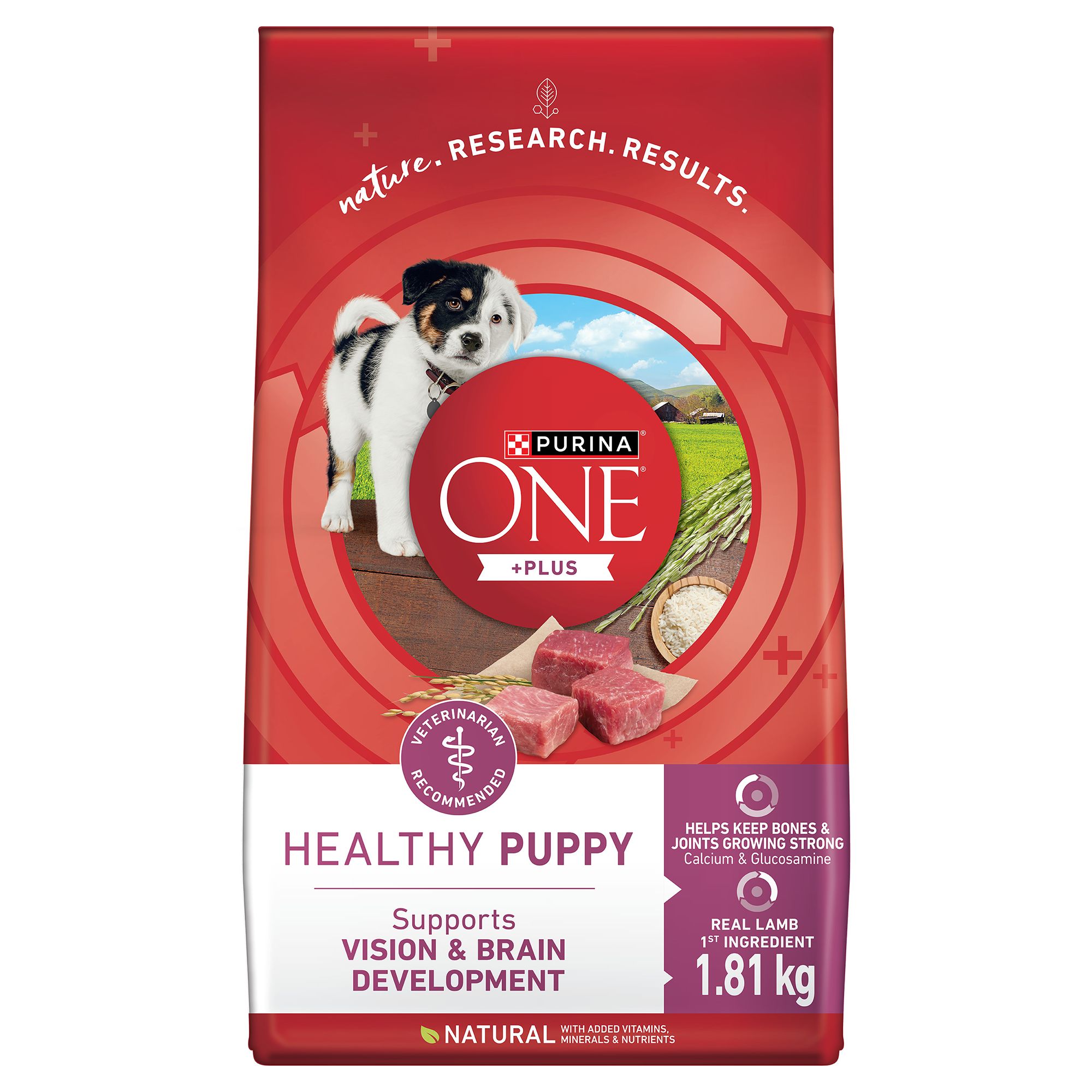 Purina ONE SmartBlend Puppy Food Lamb Rice