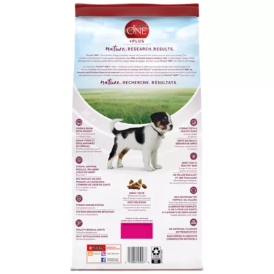 Purina 1 puppy food best sale