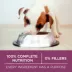 Purina ONE +Plus Healthy Puppy Dry Food Formula- Lamb image thumbnail 4