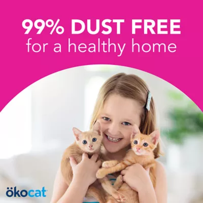 Product Okocat® Super Soft Clumping Wood Cat Litter - Low Dust, Natural