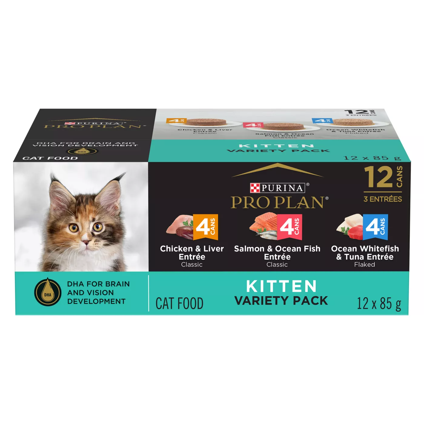 High protein kitten food best sale