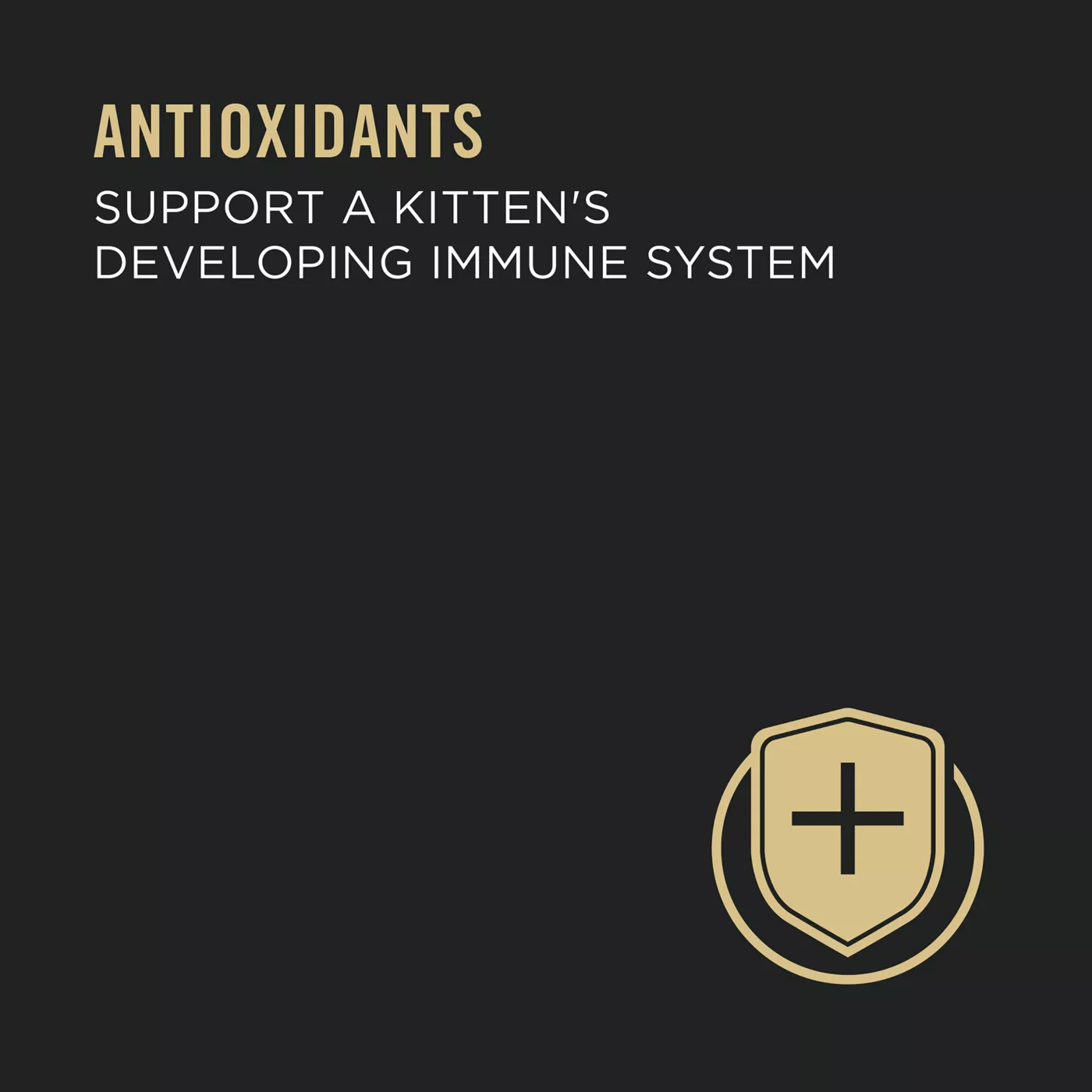 Purina Pro Plan Focus Kitten Wet Cat Food HighProtein, With Vitamins