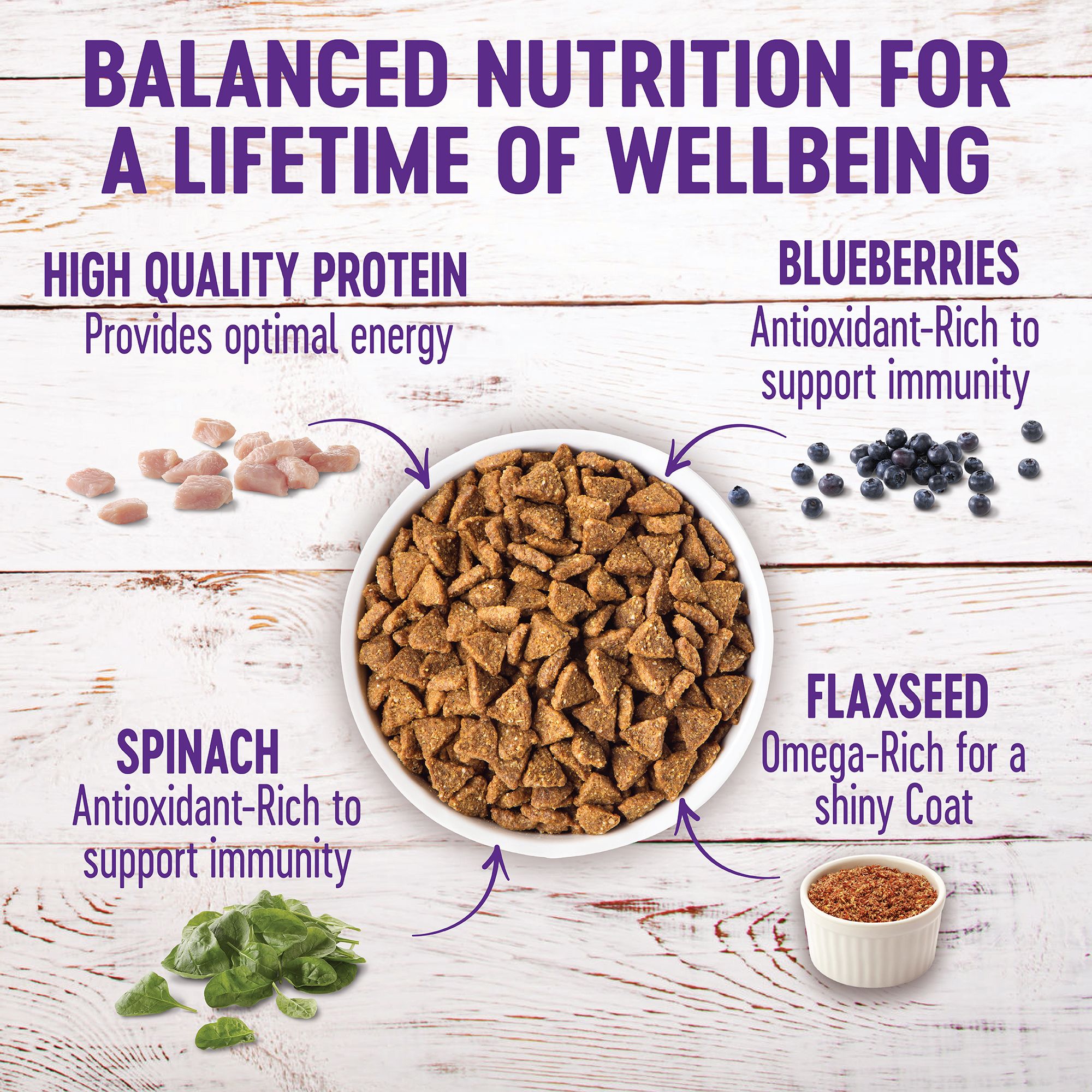 wellness grain free small breed dog food