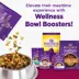 Wellness® Complete Health Small Breed Adult Dry Dog Food - Grain Free, Turkey, Chicken & Salmon image thumbnail 7