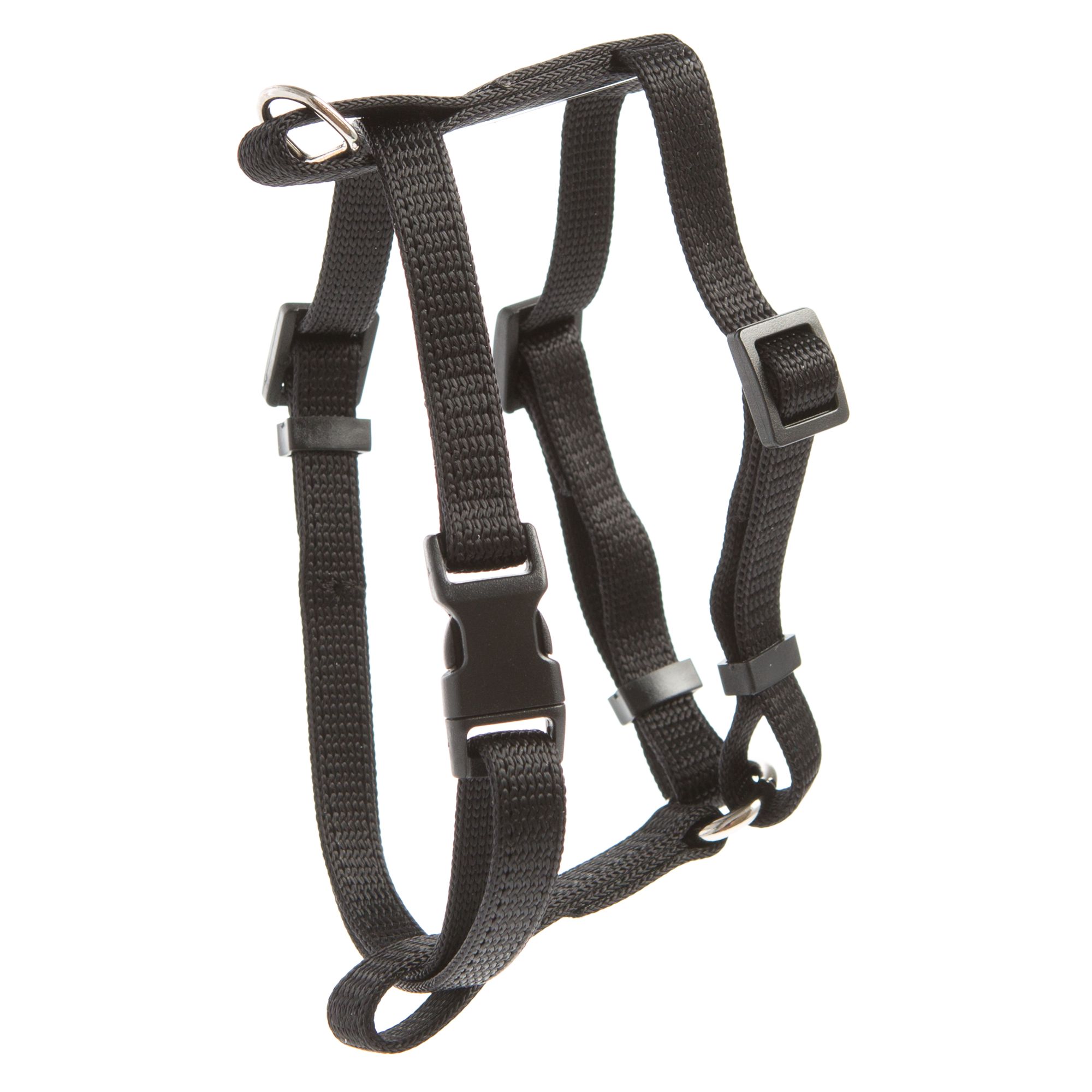 Whisker store city harness