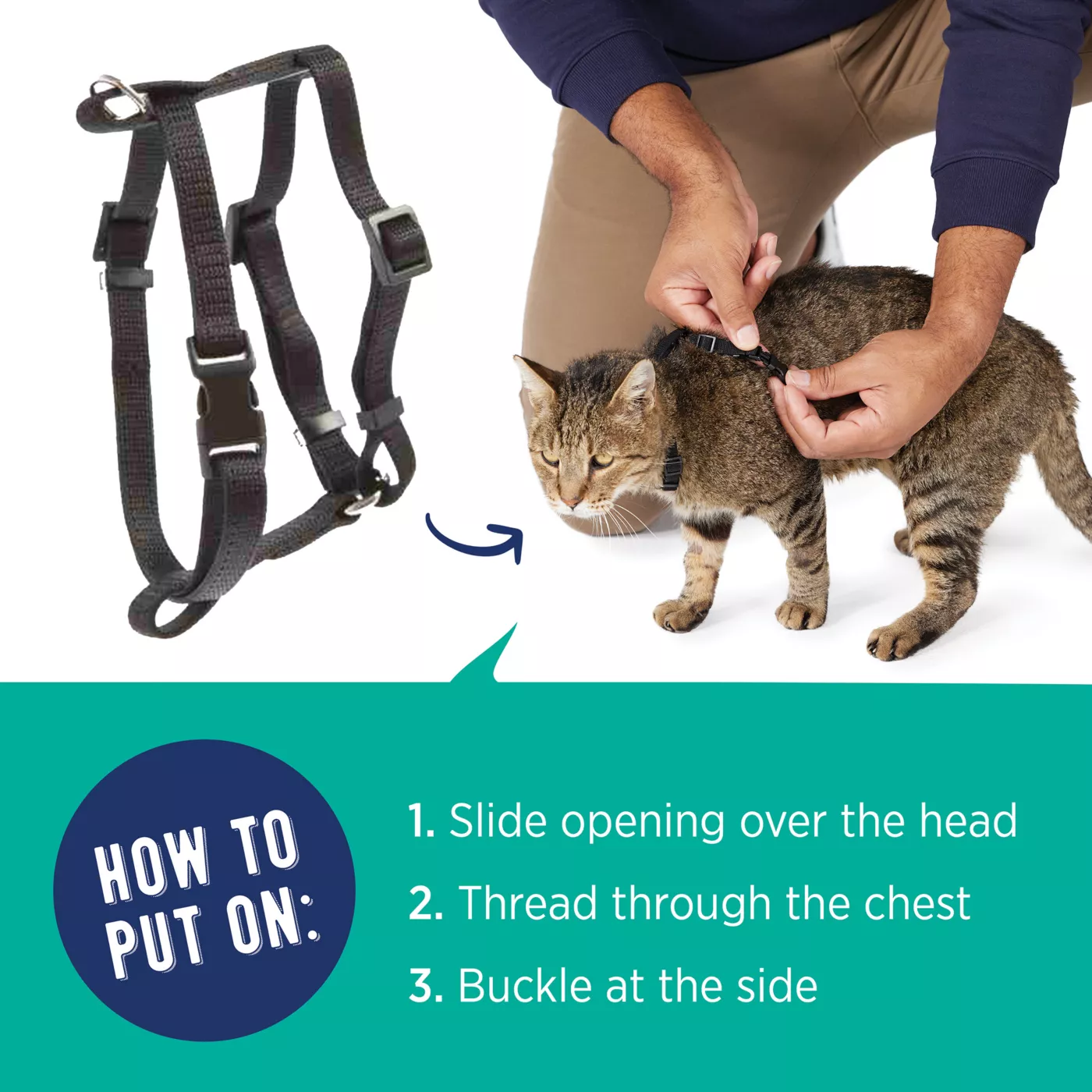 How to put a kitten harness on best sale