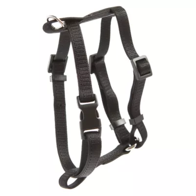 Product Whisker City® Cat Harness