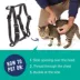 Whisker City® Cat Harness image thumbnail 3
