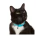 Great Choice® Breakaway Cat Collar image thumbnail 2