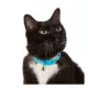 Product Great Choice® Breakaway Cat Collar
