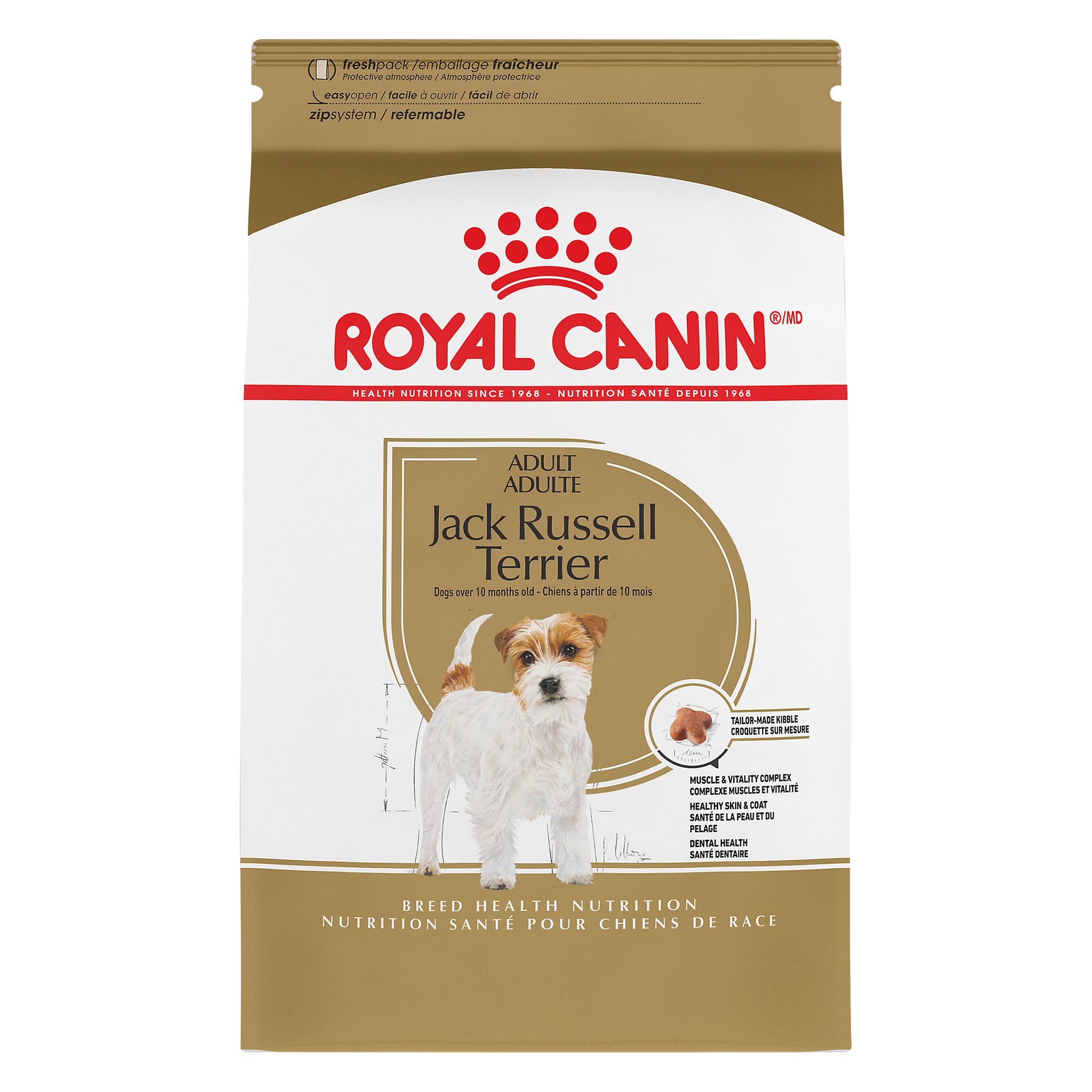 royal canin jack russell terrier