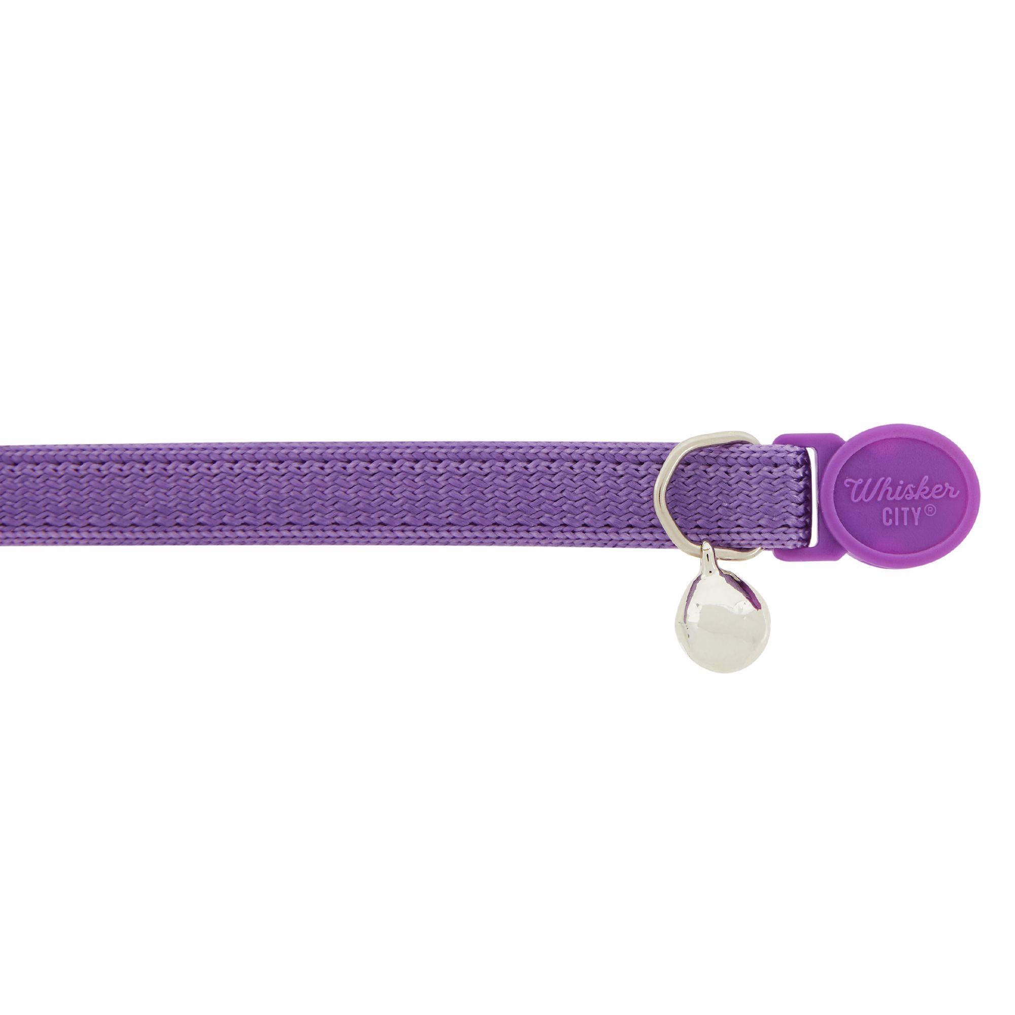 breakaway dog collar petsmart