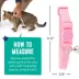Great Choice® Breakaway Cat Collar image thumbnail 5