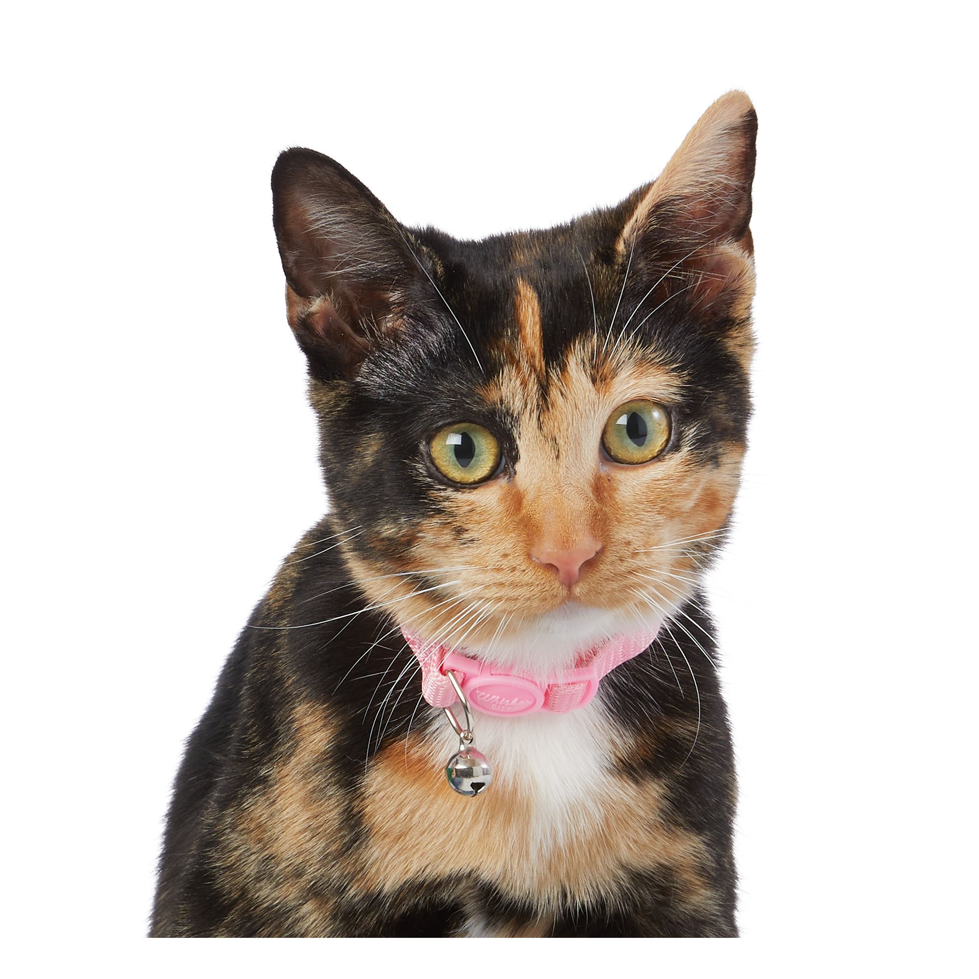 Whisker city breakaway outlet cat collar