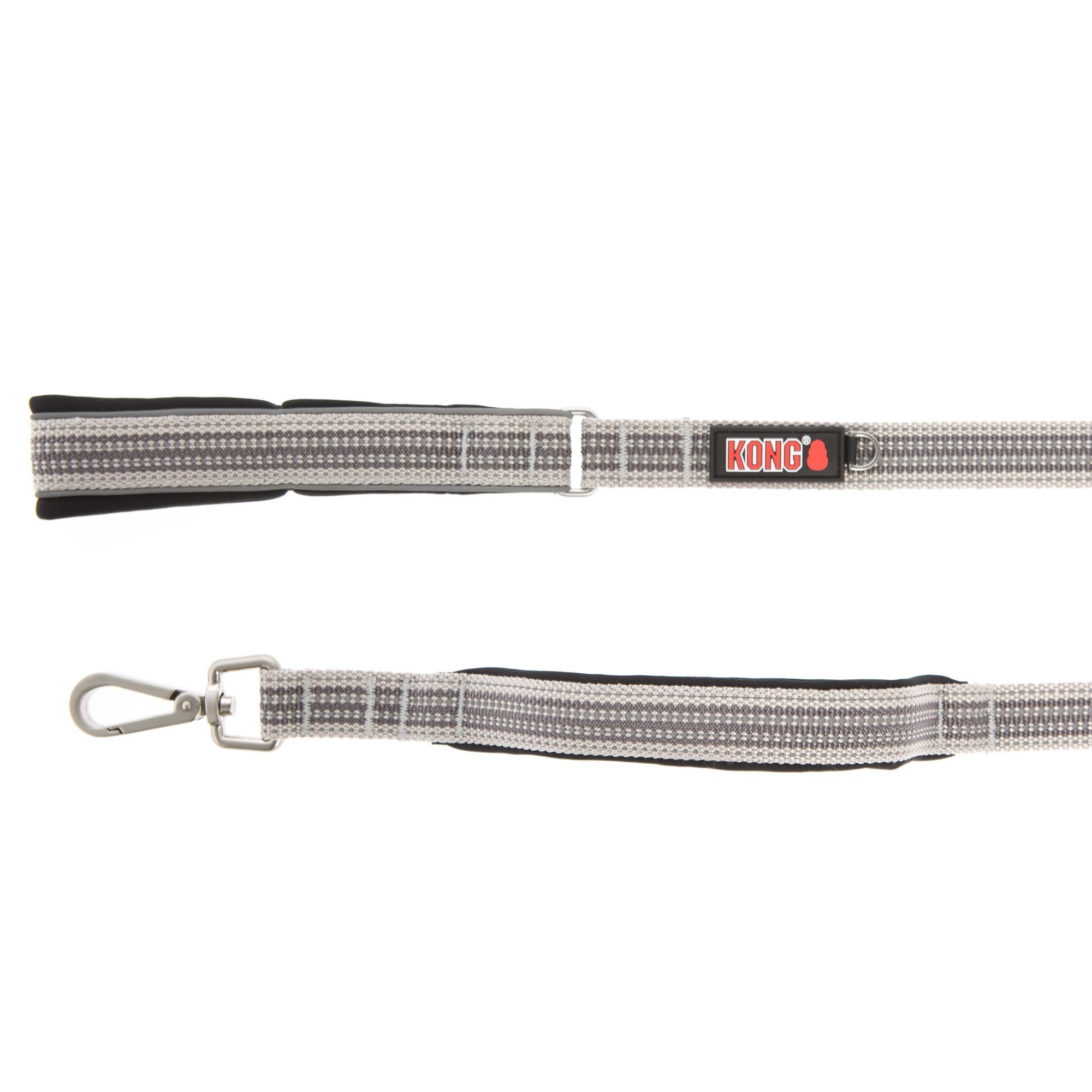 kong dog leash petsmart