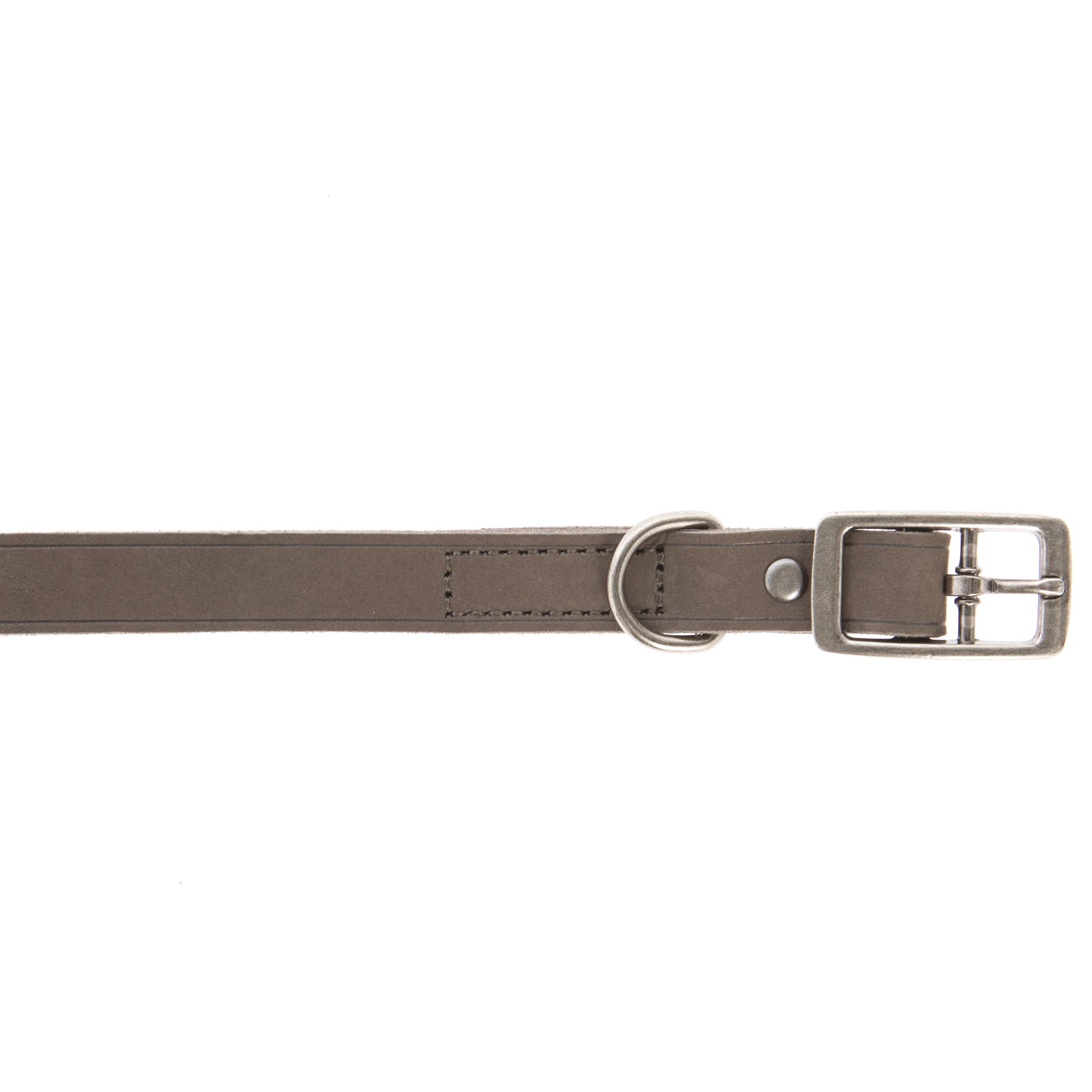 Top Paw® Basic Leather Dog Collar | dog 