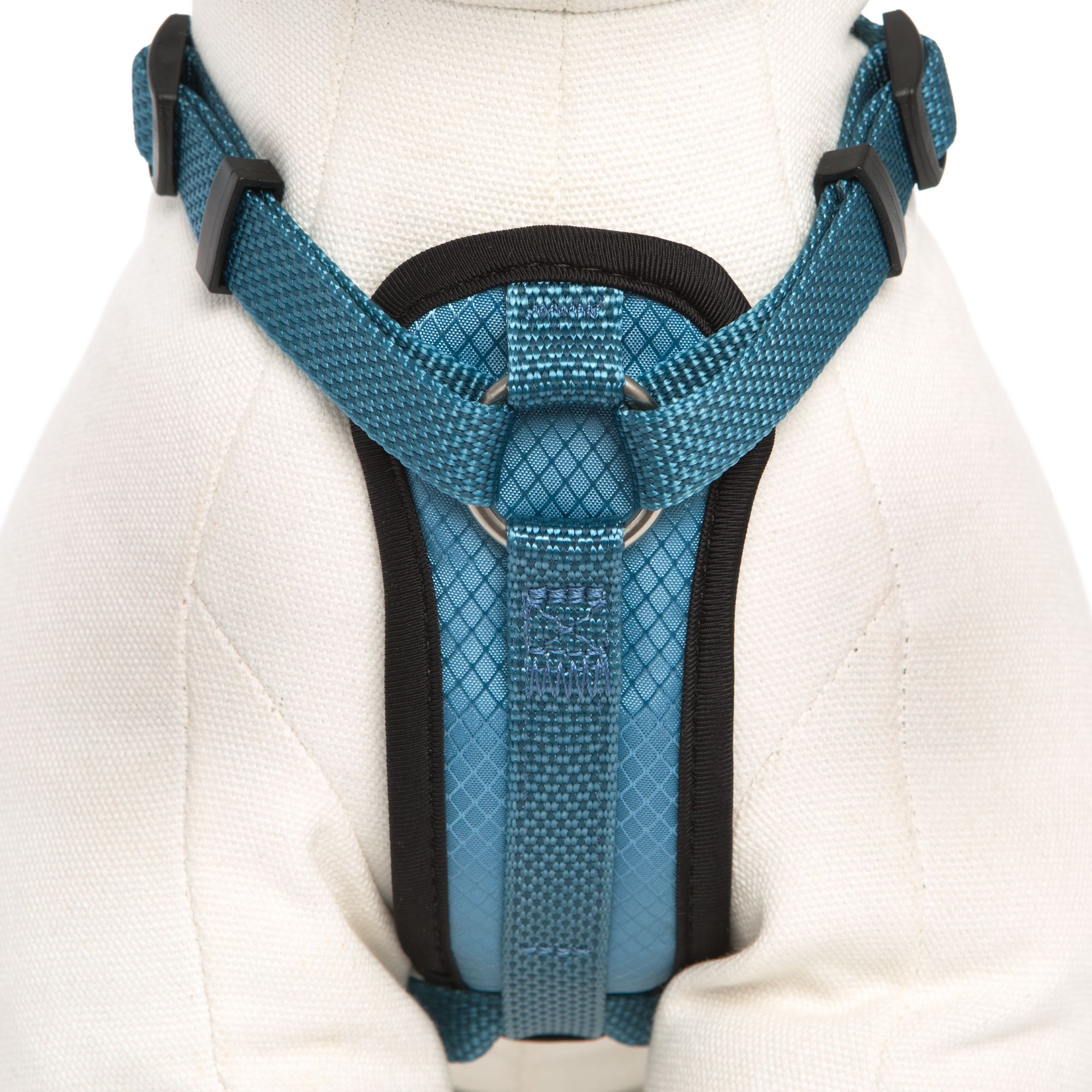 kong dog harness