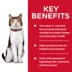 Hill's® Science Diet® Adult 7+ Cat Food - Savory Turkey image thumbnail 4