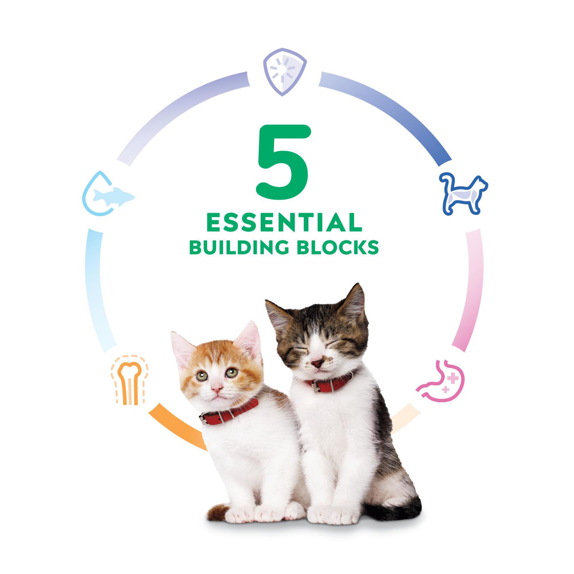 Hill's® Science Diet® Kitten Food - Liver & Chicken - thumbnail 8