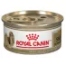 Royal Canin Breed Health Nutrition Shih Tzu Adult Loaf in Sauce Wet Dog Food, 3 oz. image thumbnail 1