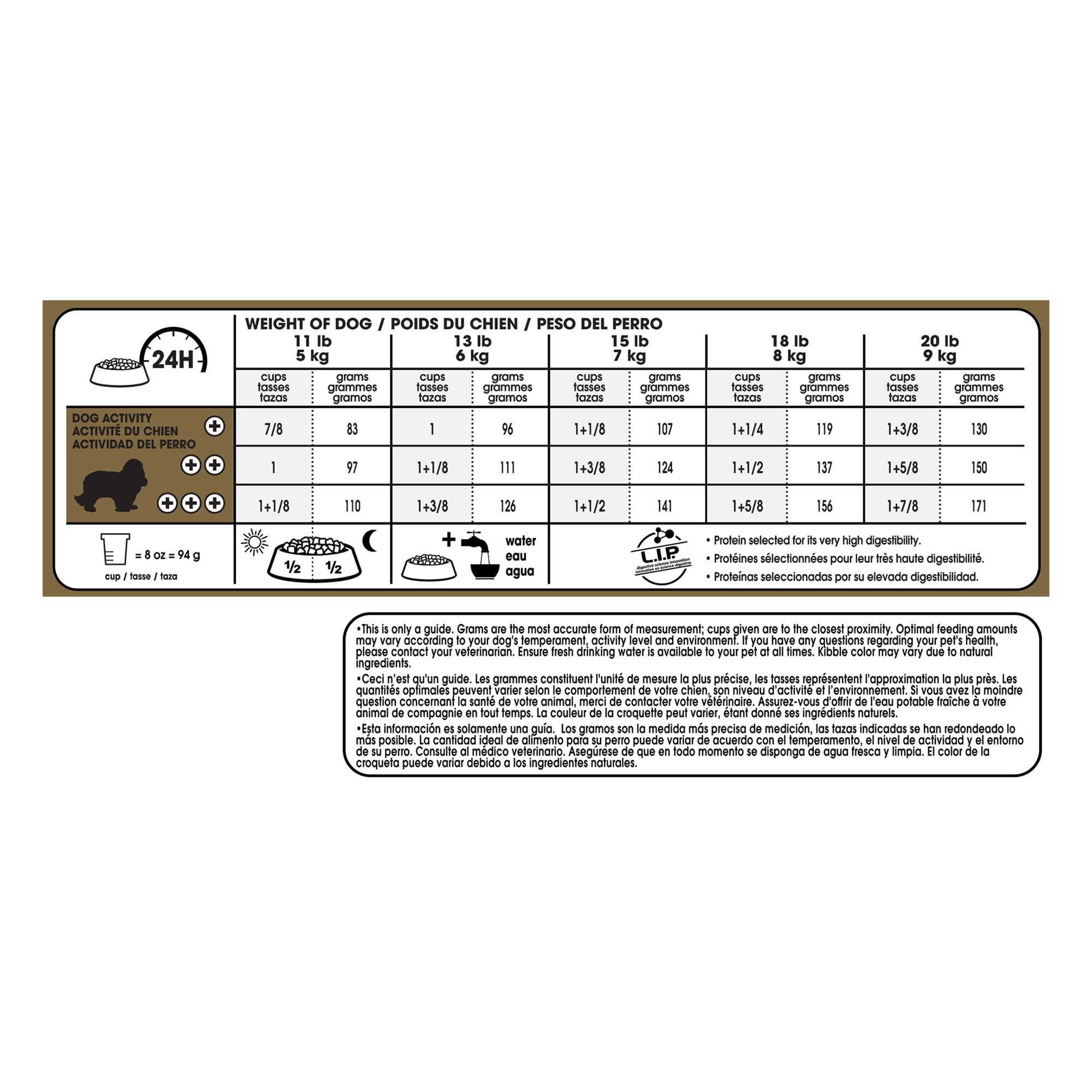 cavalier royal canin