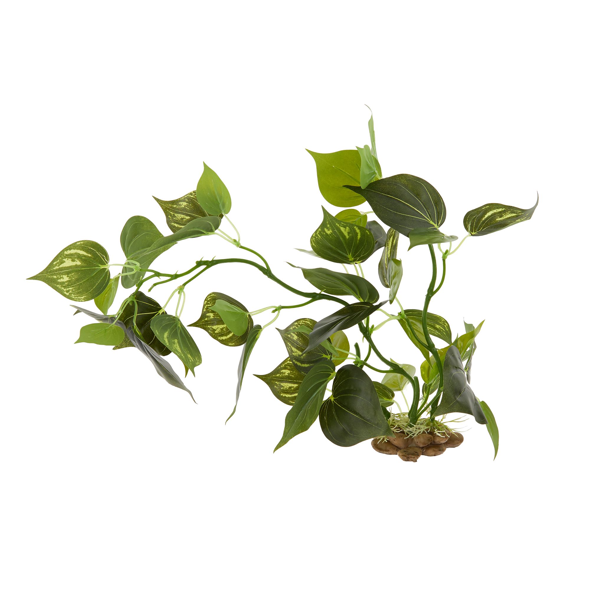 Petsmart freshwater shop plants