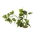 Top Fin® Artificial Leafy Floating Aquarium Plant - 17" image thumbnail 1