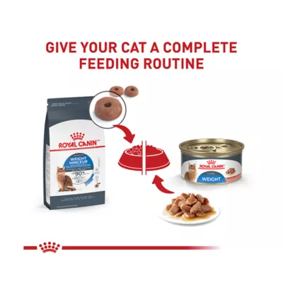 Product Royal Canin® Feline Care Nutrition Weight Care Adult Cat Wet Food, 12-ct