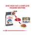 Royal Canin® Feline Care Nutrition Weight Care Adult Cat Wet Food, 12-ct image thumbnail 6