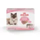 Product Royal Canin® Feline Health Nutrition Mother & Babycat Mousse in Sauce Wet Cat Food  3 oz 12-count