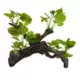 Product Top Fin® Massive Leafy Driftwood Aquarium Ornament